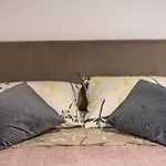 Dalmacija * Drage